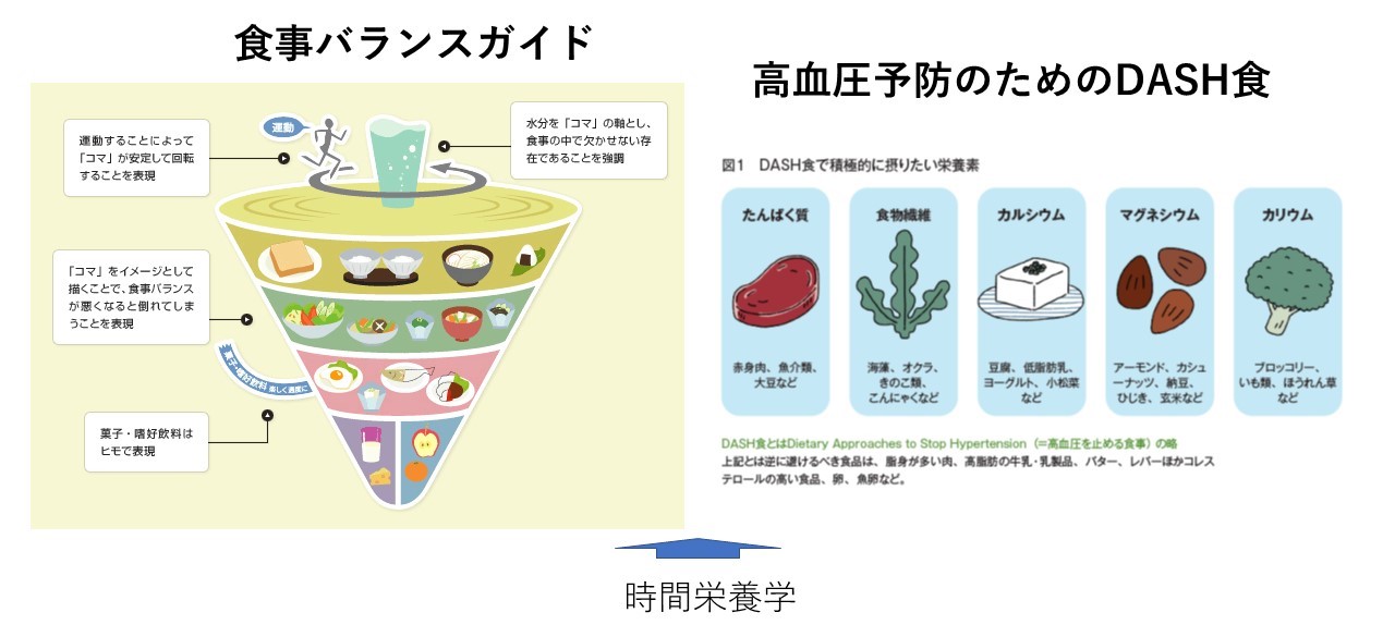 時間健康科学の目指すもの - Nutrans(ニュートランス)